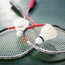 Бадминтонный клуб 