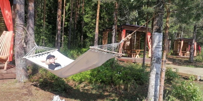 Лесной Бренд фото 3